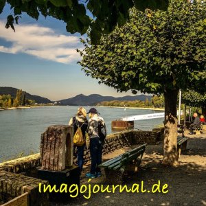 Unkel, am Rhein, Blick zum Siebengebirg